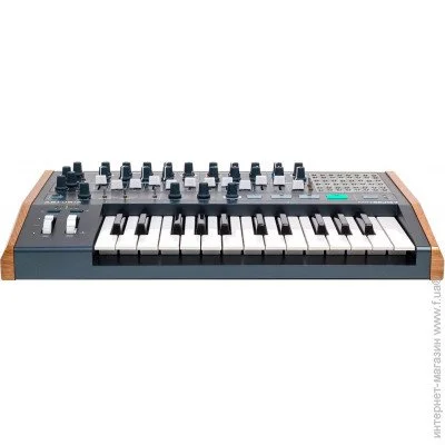  Arturia MiniBrute 2