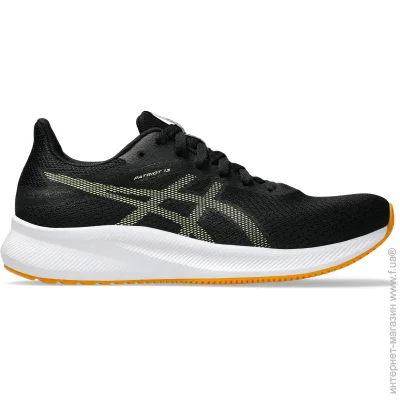    ASICS PATRIOT 13 .43.5  (1011B485-011)