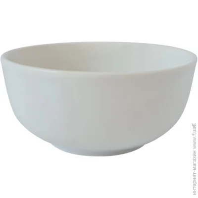  Astera Tropical White 14  (A0650-TW001)