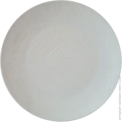    Astera   Tropical White 20  A0670-TW001