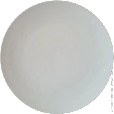     Astera Tropical White 27  (A0680-TW001)