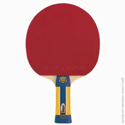     ATEMI PRO 2000 (Atemi2000--1977)