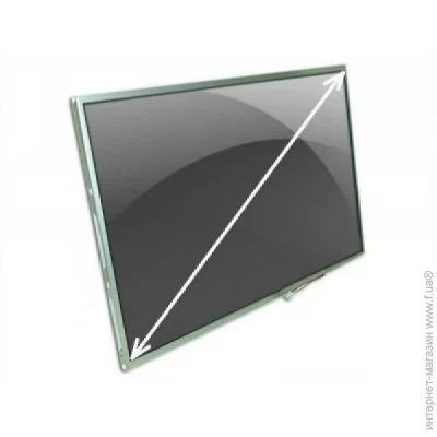 Au Optronics   B101EVT03.1