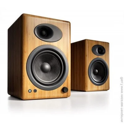   Audioengine A5+BTBamboo