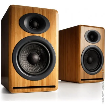   Audioengine P4-NaturalBamboo
