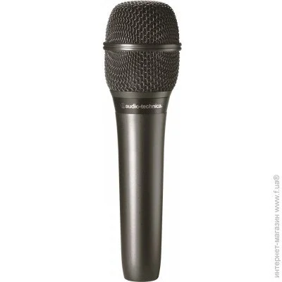   Audio-Technica AT2010