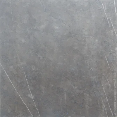 Azuvi  Aran grey 60x60 