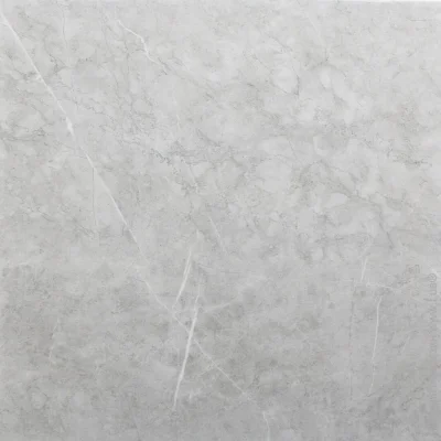 Azuvi  Aran Light Gray Gloss 60x60 