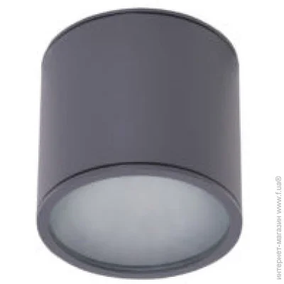Azzardo   AZ4057 Alix Ip65 Gr