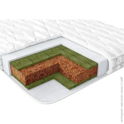 Baby Veres   ECO 10  60x120 