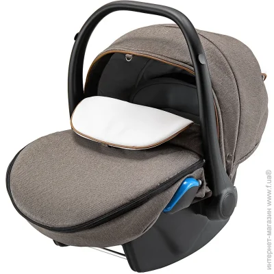  Bair Kite Chocolate (681711)  0 + (0-13 )