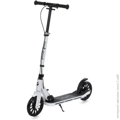  Bambi   2-  SR2-090-W   100 