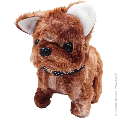 Bambi    "" YG0032 (Dark-Brown)  , , 