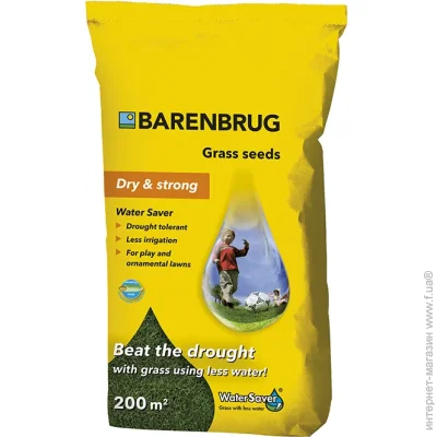 Barenbrug   Water Saver 5 