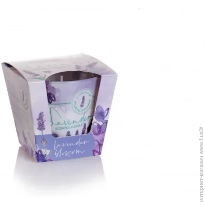 Bartek Candles    (115 )