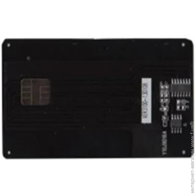 ׳ - BASF (WWMID-70740)