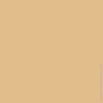 Bayris    LATEX FACADE  J097 14