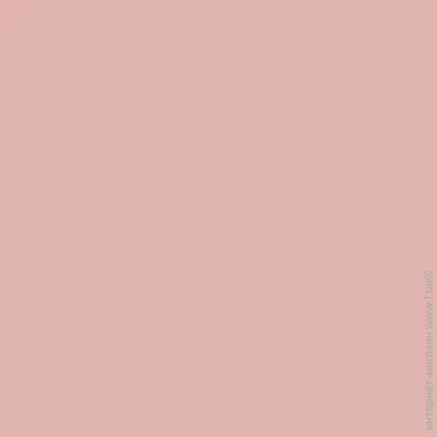 Bayris    LATEX FACADE  S139 4.2