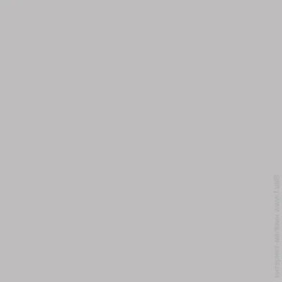 Bayris    LATEX FACADE  V168 4.2