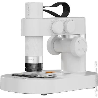 ̳ Beaverlab    DDL-M1 Kit (    (2574820742)