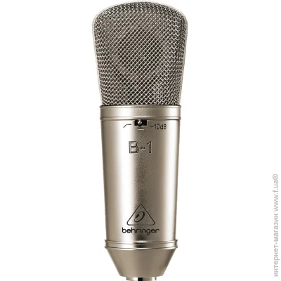 ̳  Behringer B1