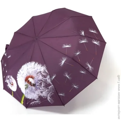  Bellissimo     M638  10    Գ ,  , 