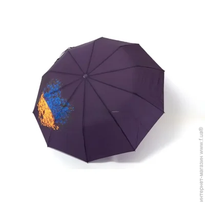  Bellissimo    M646  10   -    ,  , 