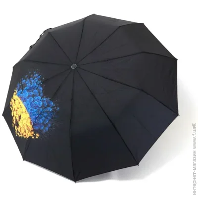 Bellissimo    M646  10   -    ,  , 