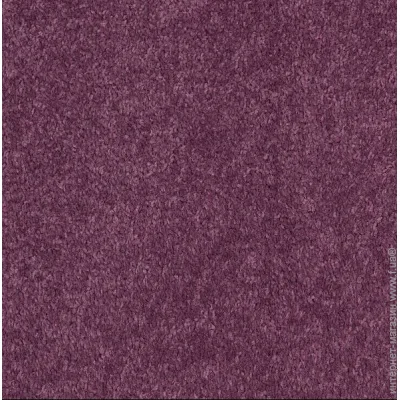 Betap  Dynasty 45 3 