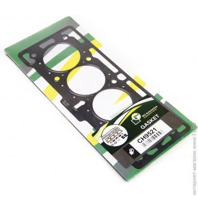   BGA CH9521