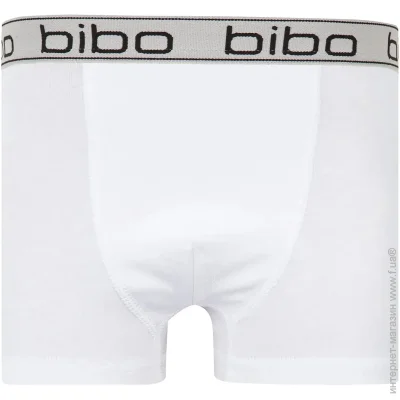 Bibo    .146  24010
