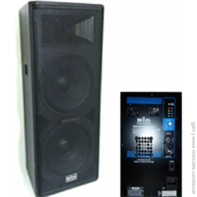  BiG DIGITAL TIREX1000-MP3-BLT-EQ-FM