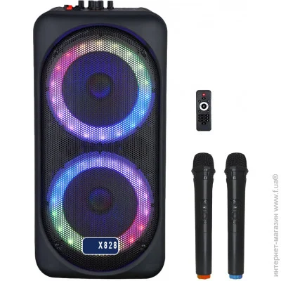    BIG JB X828   , 