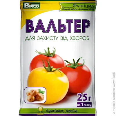 Bingo      25 