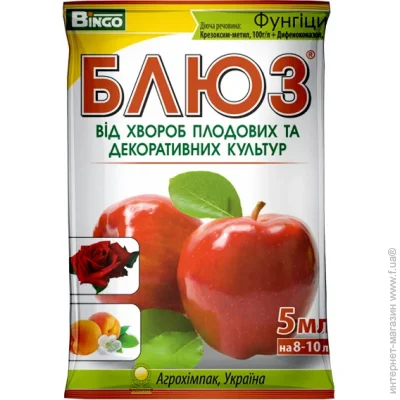 Bingo    5 