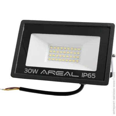 Biom   AREAL 30W PR-30 6200K, 220V, IP65  (5244)