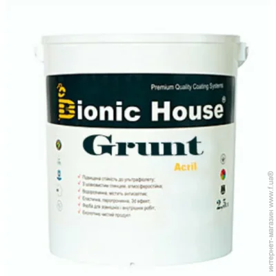 Bionic House   Grunt acril 1 