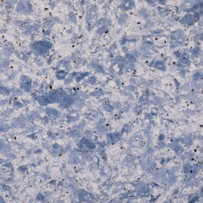 Bioplast г  404 1 