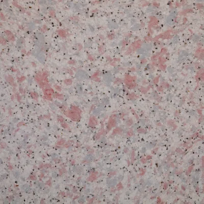 Bioplast   405 1 