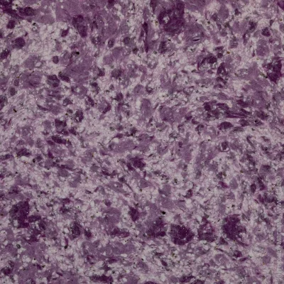Bioplast   413 1 