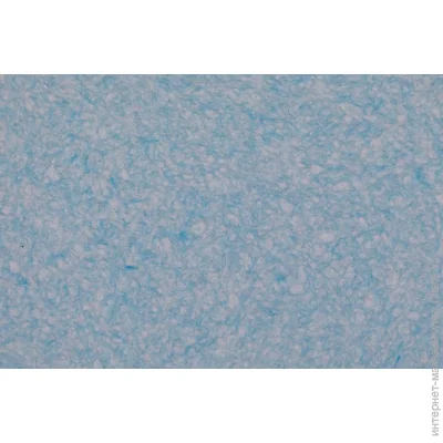 Bioplast   8682 1 