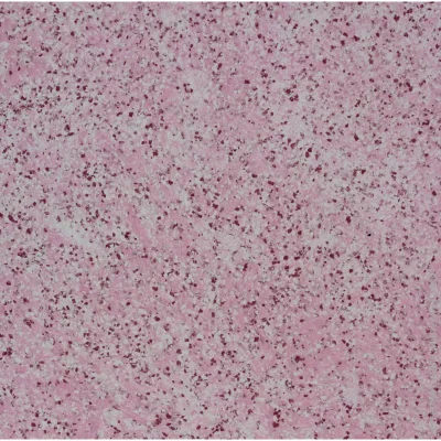 Bioplast г  987 1 