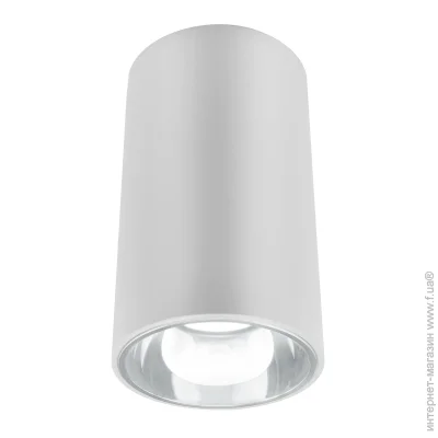 Blitz   LED 10  4000   29129W