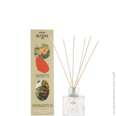 Bloom  White osmantus 100 