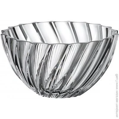  Bohemia Scallop 28  (7189)