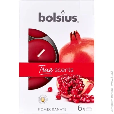 Bolsius   4  , 6 . / 