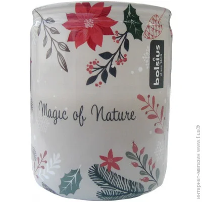 Bolsius     Magic Of Nature 82/68