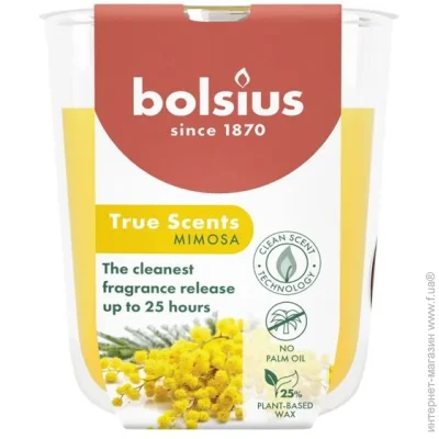 Bolsius   TRUE SCENTS   80/73  