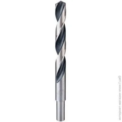    Bosch HSS PointTeQ 12 (2608577302)