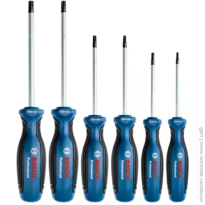  Bosch   Torx 6. (1600A01V09)